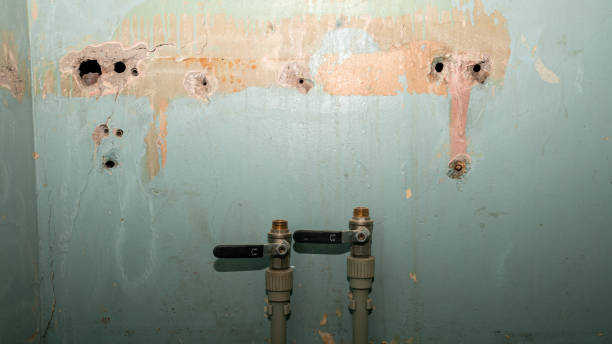 Local water damage restoration in North Tustin, CA