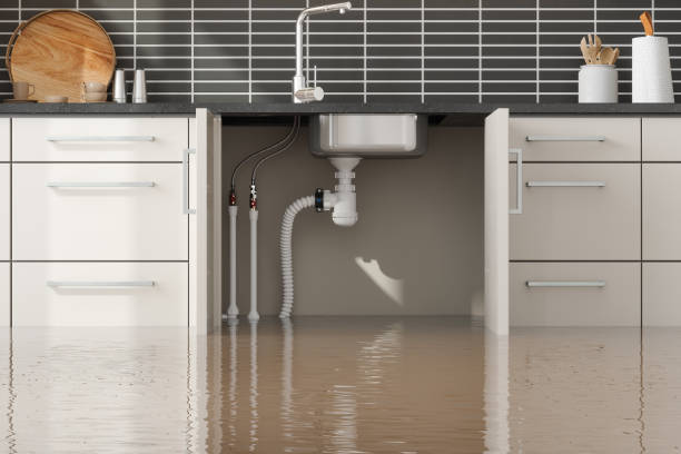 Best Commercial water damage restoration  in North Tustin, CA